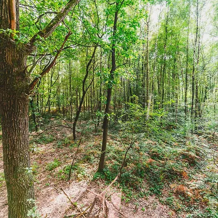 Utopia Village - Art & Nature * Mons