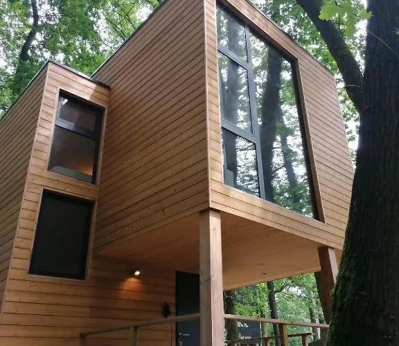 Utopia Village - Art & Nature אכסניה מונס