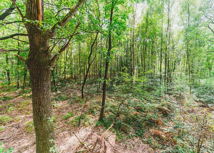 Utopia Village - Art & Nature * מונס